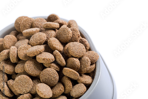 dry dog food isolated on white background