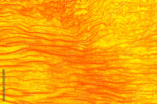 texture of old wood surface with color effect.