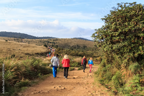 Group of travelers hike in Horton Plains