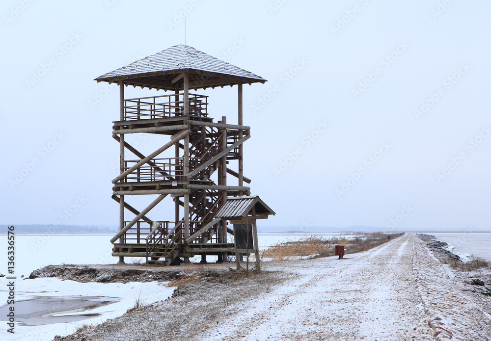 Wildlife observation tower to lake in Liepaja, Latvia Wildlife observation tower to lake in Liepaja, Latvia