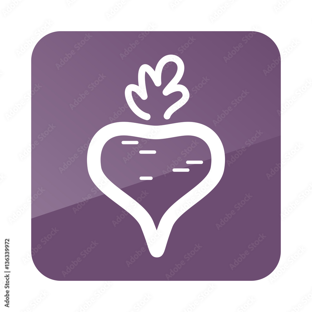 Obraz premium Beet outline icon. Vegetable vector