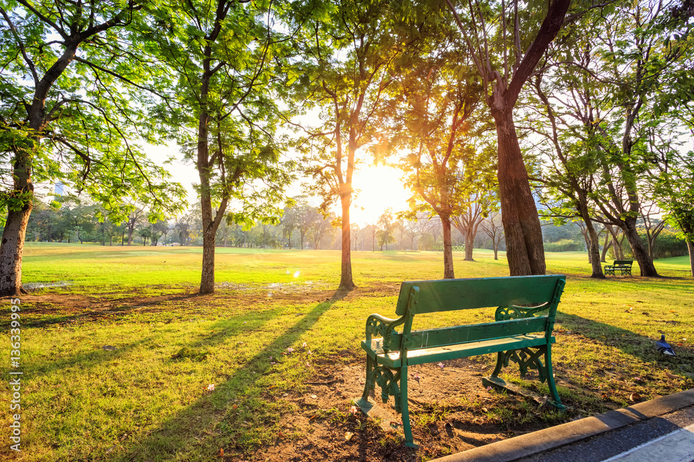 Morning beautiful park scene bench in public park with green gra
