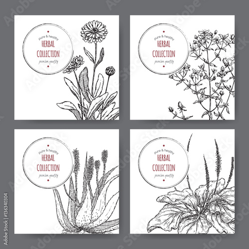 four herbal labels with calendula, saint john wort, aloe, plantago