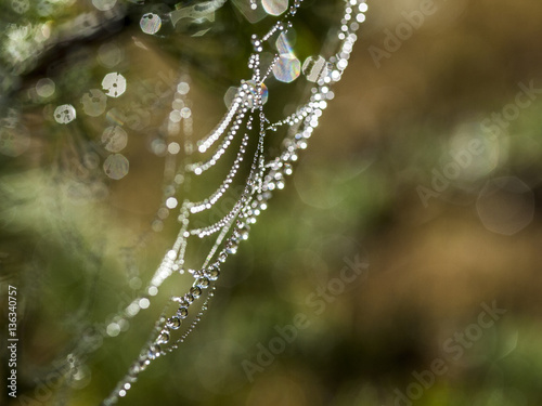 necklace of glitter cobweb
