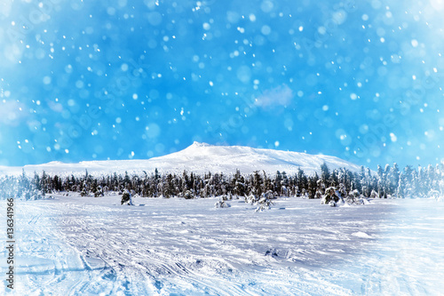 Beautiful winter wonderland during the sunny day. © ArtEvent ET