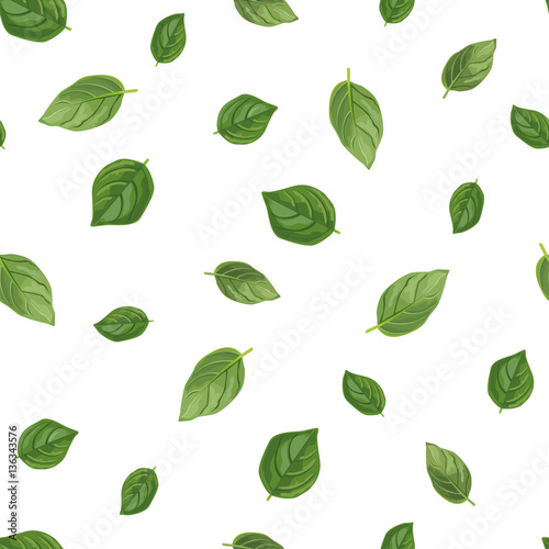 Basil seamless pattern. Organic product. Wrapping paper. Hand drawn vector illustration.