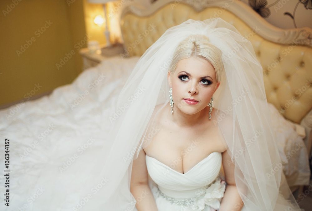 Portrait of the beautiful stylish bride Portrait of the beautiful stylish bride