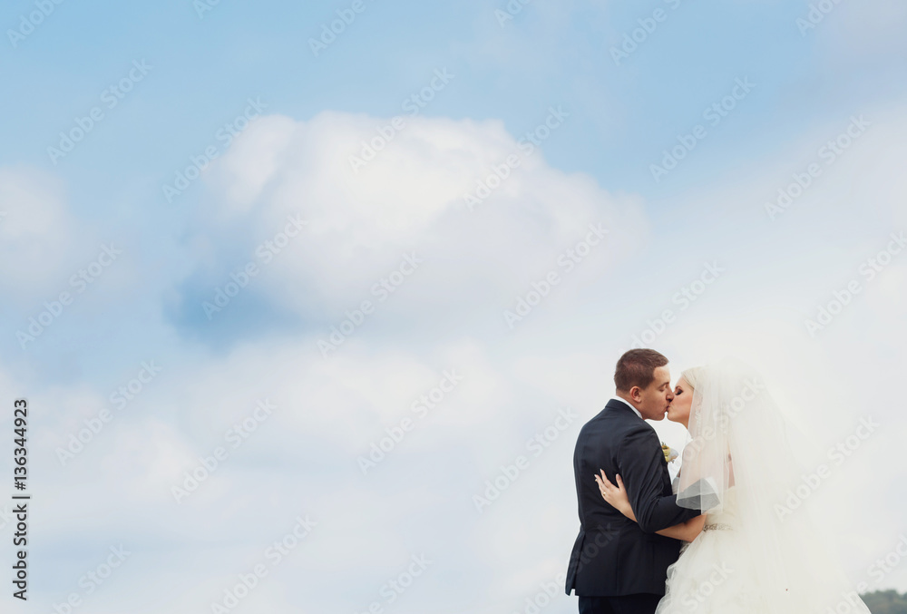 Beautiful romantic newlyweds kissing outside Beautiful romantic newlyweds kissing outside
