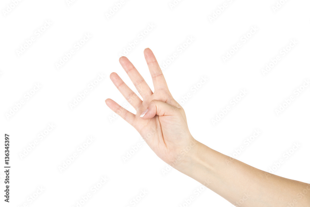 Female's hand on white background. Female's hand on white background.
