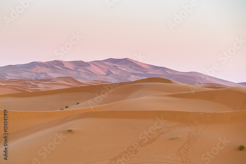 sand desert 