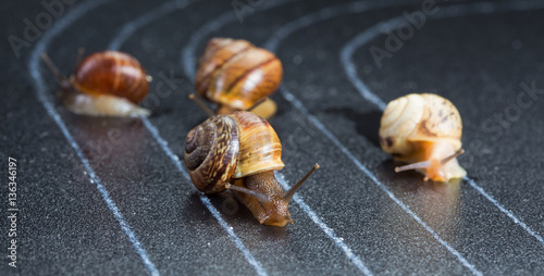 Snails on the athletic track