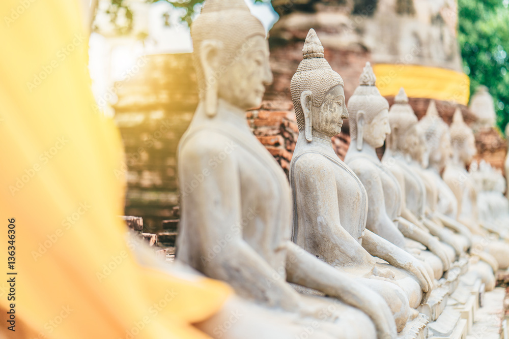 Obraz premium Worship of Thailand,Buddha statue,History of Thailand,Buddha statue Temple of Ayutthaya Province. Ayutthaya Historical Park, Thailand 