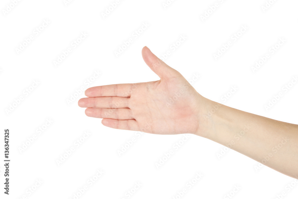 Hand of women on a white background. Isolated.