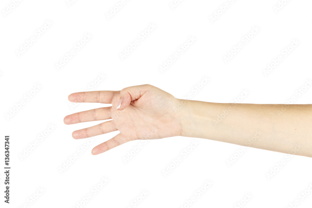 Female hand on a white background. Isolated. Female hand on a white background. Isolated.