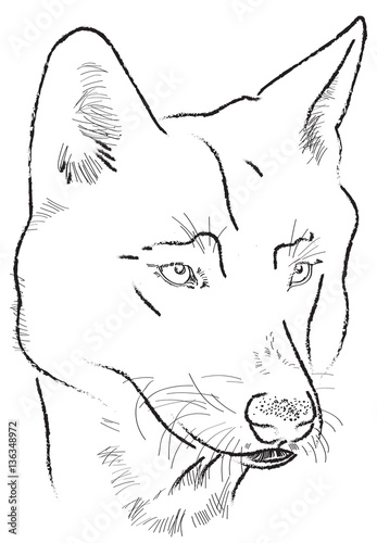 Obraz na płótnie wilk - darawing na tablecie