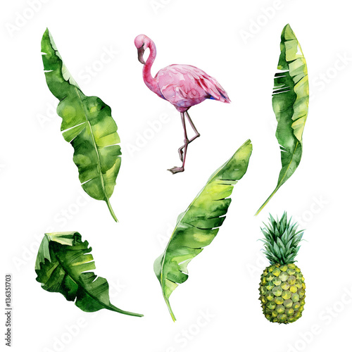 Watercolor illustration set of tropical leaves, dense jungle, flamingo bird a...