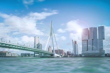 Fototapete Rotterdam Erasmusbrücke Rotterdam im Tageslicht  © S Amelie Walter