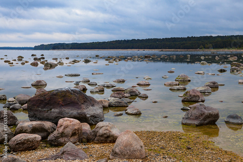 Baltic sea coast with granite boulders in cloudy day. Relaxing and cold landscape with forest at the background.