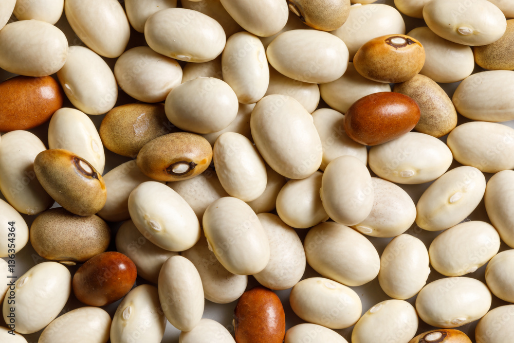 white bean raw food ingredient texture