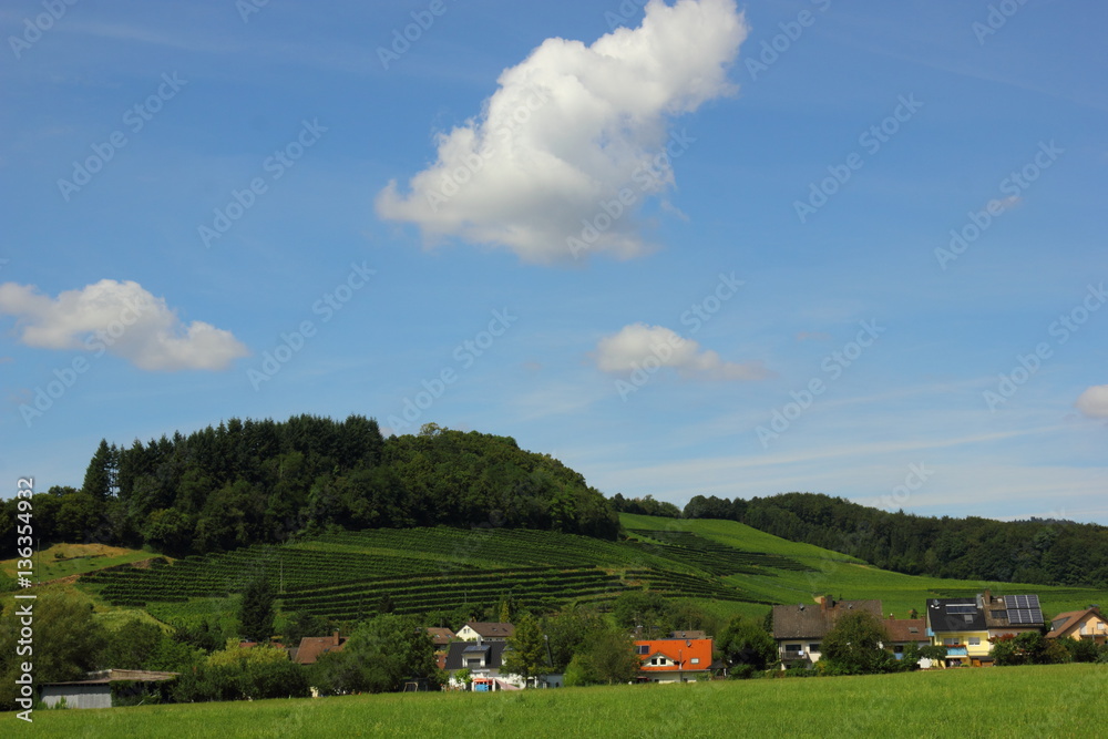 Obraz premium Im Schwarzwald
