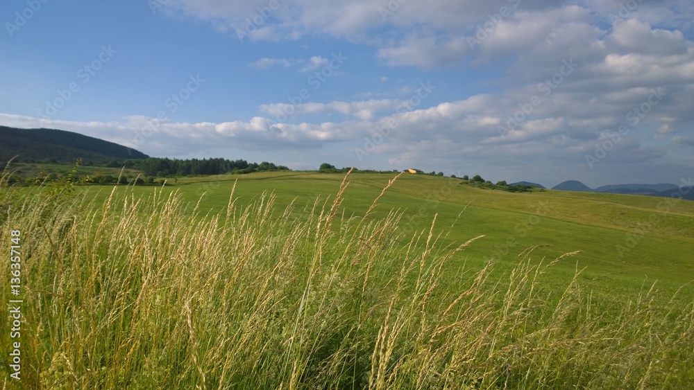 Green woods and meadows. Slovakia Green woods and meadows. Slovakia