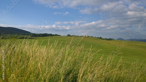 Green woods and meadows. Slovakia