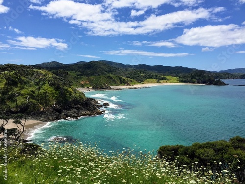 Tutukaka coast, New Zealand