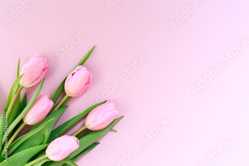 Fototapeta Naklejka Na Ścianę i Meble -  Pink tulips on the pink background. Flat lay, top view.  Valenti