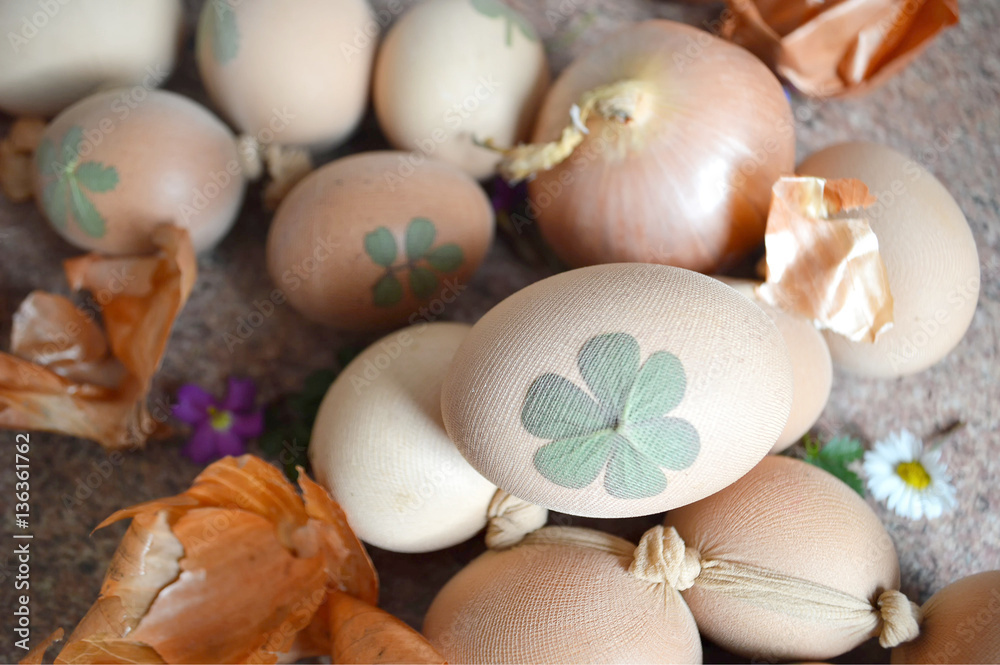 Naklejka premium Easter eggs decorated with leaves and flowers, prepared for natural dyeing with onion skins