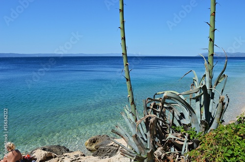 Wonderful and silent coast of Croatia