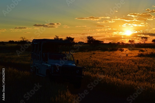 Sunset during a game drive in the savannah of Namibia