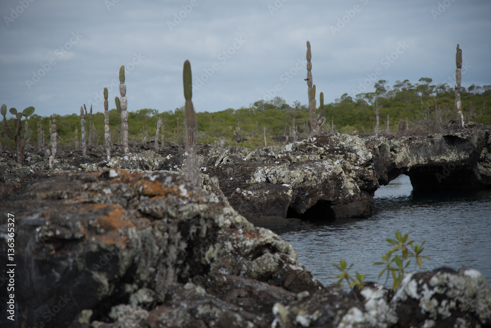 Galapagos wonder