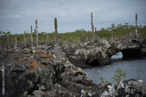 Galapagos wonder