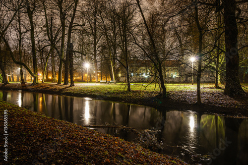 trees and river in a park by night