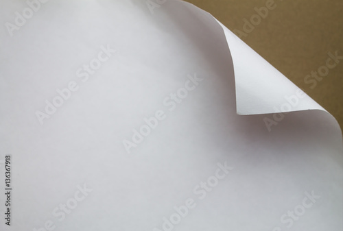 Paper with curled edge.