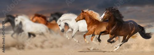 Horse herd run gallop in desert dust against sunset storm sky © callipso88