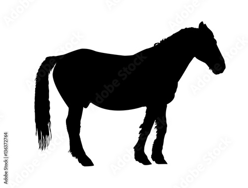 Silhouette of horse in profile.