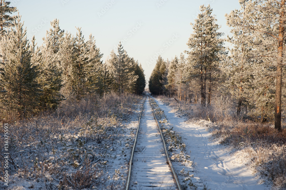 winter winter