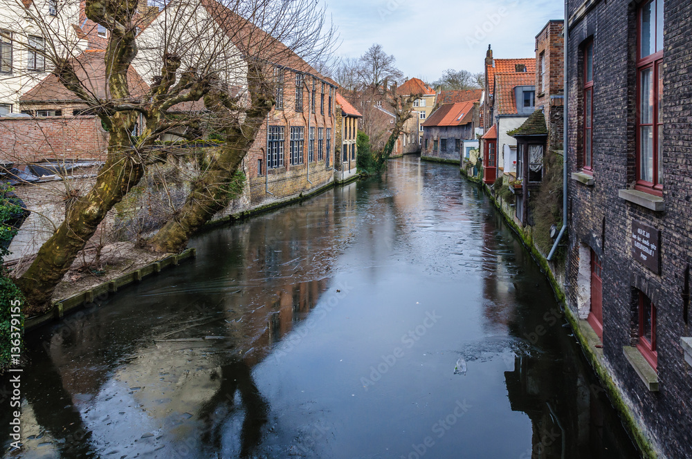 Fototapeta premium Frozen Canal in Bruges, Belgium