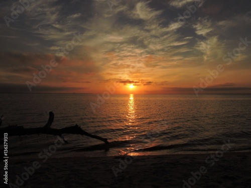 Fototapeta Naklejka Na Ścianę i Meble -  sunset on boggy bayou