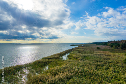 Wallpaper Mural Shore of a lake on a sunny day Torontodigital.ca
