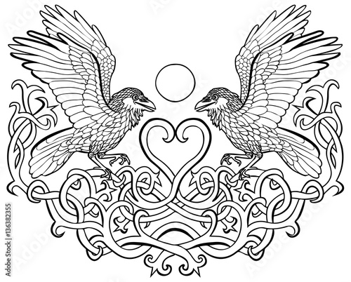 Vector illustration of ravens in love celtic ornament black and white