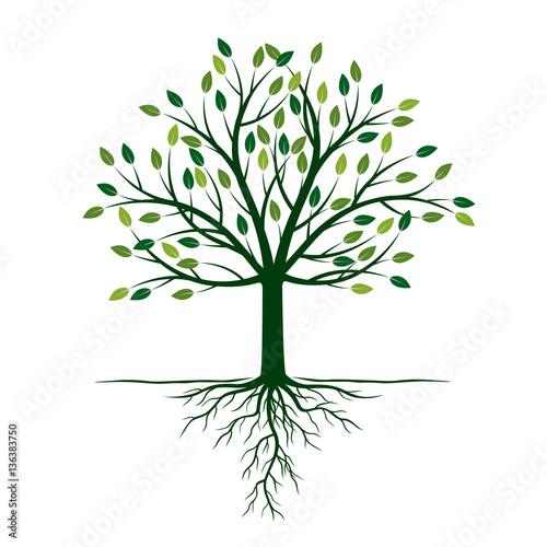 Green Tree with Roots. Vector Illustration.