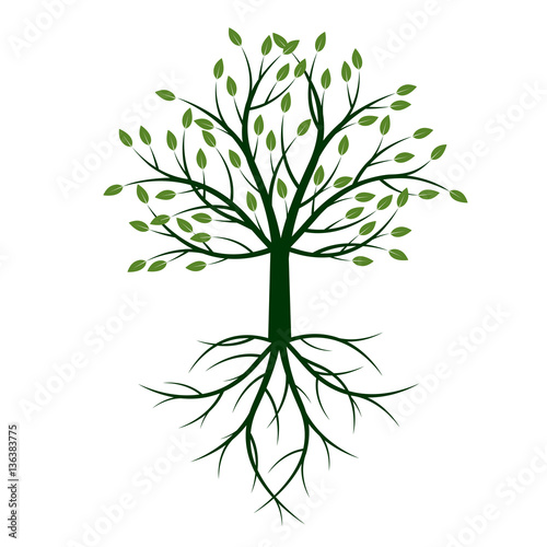 Green Tree with Roots. Vector Illustration.