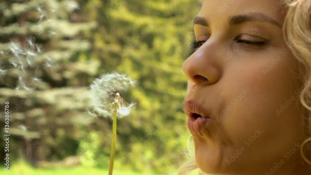 young woman blowing dandelion in slow motion close up young woman blowing dandelion in slow motion close up