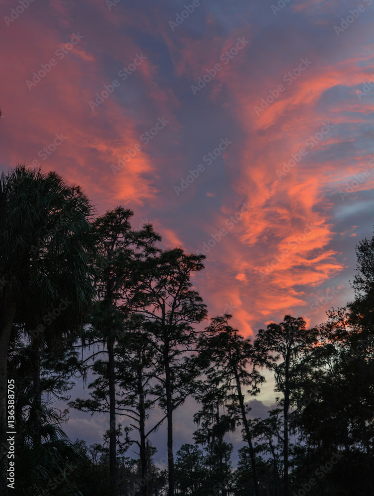 Fototapeta premium Sunset over a Florida State Park
