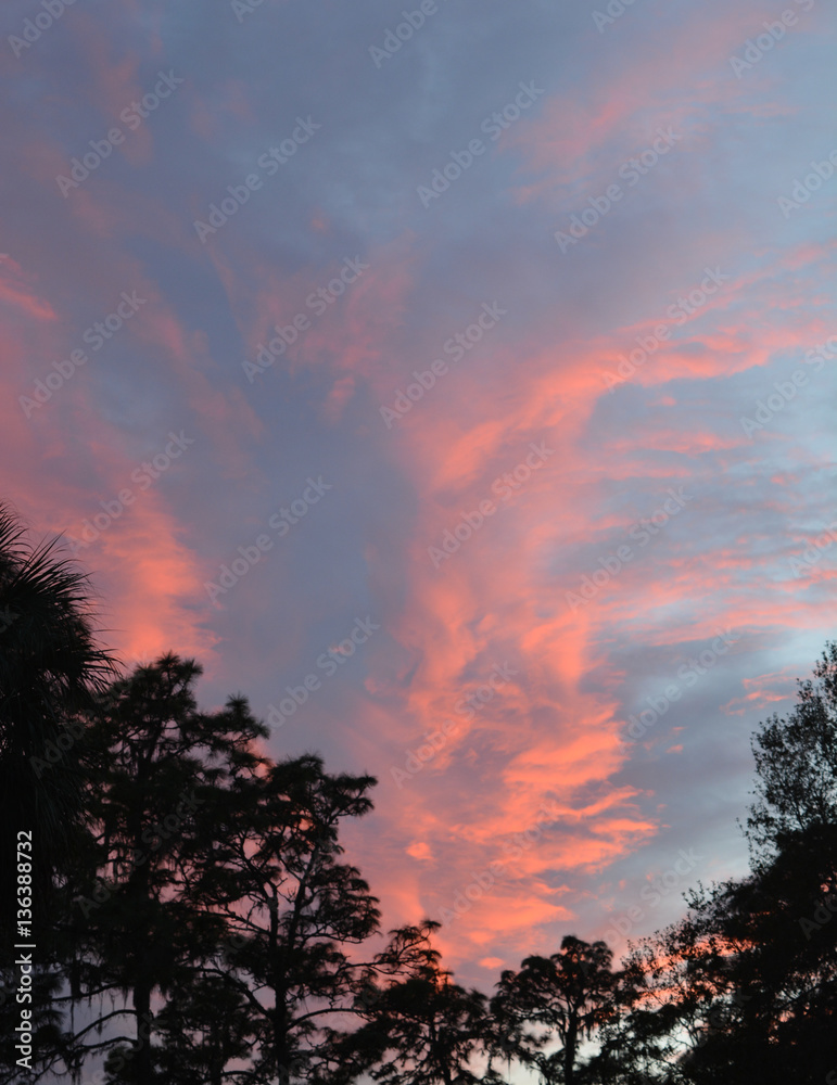 Beautiful evening at Hillsborough River State Park.