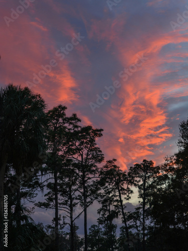Sunset over a Florida State Park