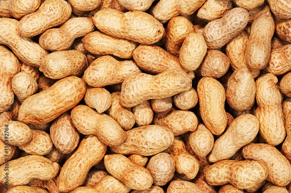 Dry roasted peanuts for use as background. Dry roasted peanuts for use as background.