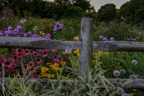 Perennials garden 